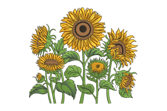 Beautiful Sunflowers Embroidery Design Review