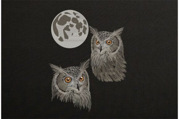 Realistic Bird Owl Moon