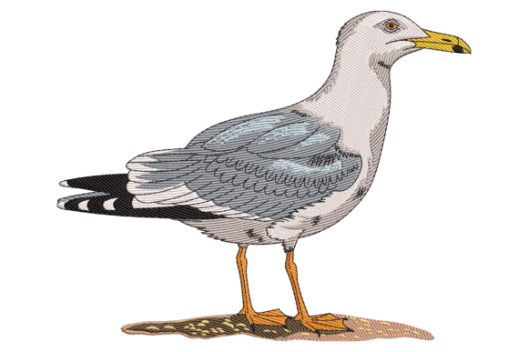 Seagull Bird Embroidery Design